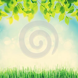 Abstract sunny spring background