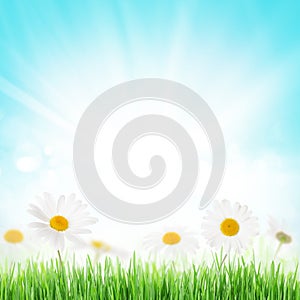 Abstract sunny spring background