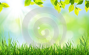 Abstract sunny spring background