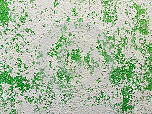 Abstract surface as green paint peeling off a concrete wall background. Old grungy, weathered painted construction structure.