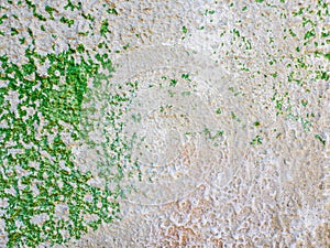 Abstract surface as green paint peeling off a concrete wall background. Old grungy, weathered painted construction structure.