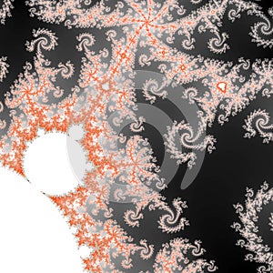 Abstract swirly mandelbrot fractal formula photo