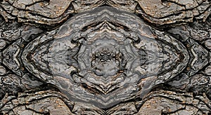 Abstract Symmetric Tree Bark Texture Kaleidoscope Pattern