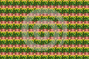 Abstract symmetrical collage background composed of marigolds in a flowerpot