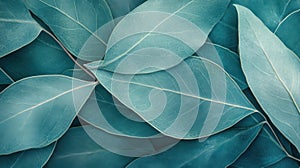 Abstract Teal Leaf Texture Background