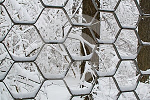 Abstract Textural Background Of Iron Decorative Fence With Snow In Winter Park Close Up.