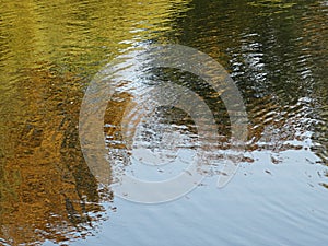 Abstract texturally defocused natural autumn blurred background reflection, copy space