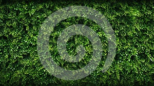 Abstract texture and background as greenwall. AI Generative
