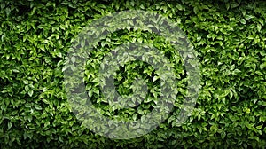 Abstract texture and background as greenwall. AI Generative