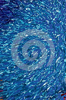 Abstract texture and background from blue tapes