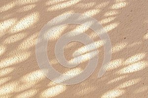 Abstract texture background brown color grunge. sunlight shines as point.