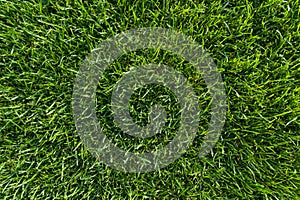 Abstract texture background, natural bright green grass close-up lawn carpet, top view.