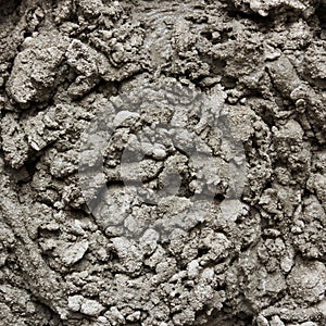 Abstract texture of cement mortar