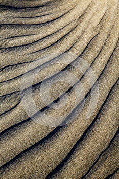 Abstract texture of a dry sand and the beach lanzarote