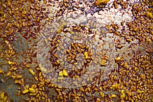 Abstract texture formed by rice grains stuck to the bottom of a paella bowl