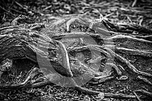 Abstract texture for funds