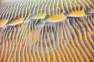 Abstract texture line wave in Oman the desert