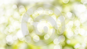 Abstract texture nature blur green color and bokeh nature background