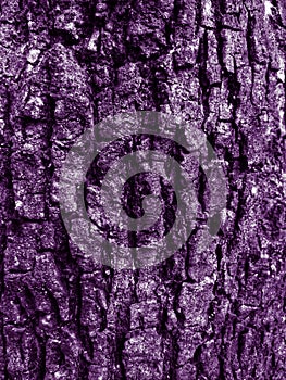 Abstract texture pattern of purple rough surface