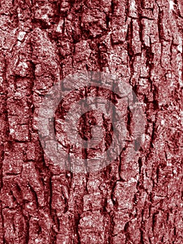 Abstract texture pattern of red rough surface