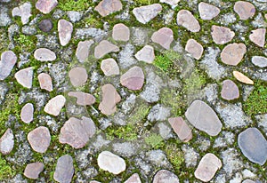 Abstract texture of stones, moss and grass