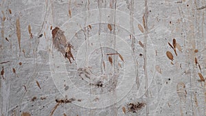 Abstract textured surface displays stains and splatters of brown paint on a light gray backdrop