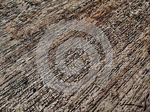 Abstract textured of timber wood material background