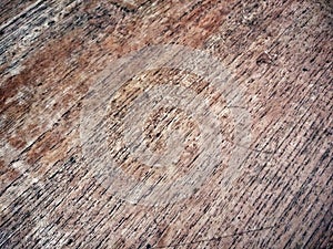 Abstract textured of timber wood material background