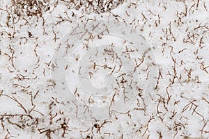Abstract and textured white shiny and glittery snow background in gloomy day Winter scenary