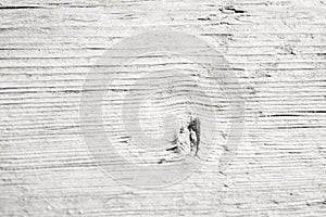 Abstract textured wooden grey background