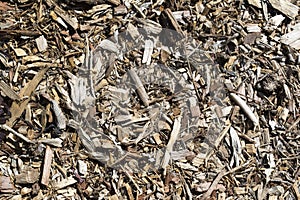 Abstract Textures and Backgrounds: Bark Ground Cover / Mulch