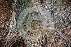 abstract threads background