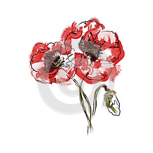 Abstract Three Red Poppy flowers. The effect of red gouache stains. Contemporary floral art style. Suitable for posters