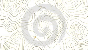 Abstract Topographic Map Contour Lines Seamless Pattern Background