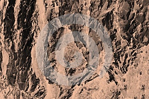 Abstract tree bark textured sepia filter background