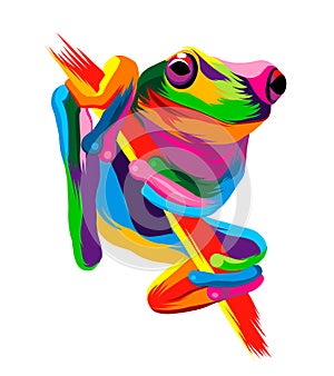 Abstract tree frog from multicolored paints. Colored drawing photo