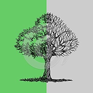 Abstract tree half green leave and black dry branch, spring autumn hand drawn vector illustration