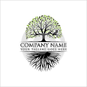 Abstract tree logo design, root vector - Tree of life logo design inspiration