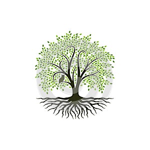 Abstract tree logo design, root vector - Tree of life logo design inspiration