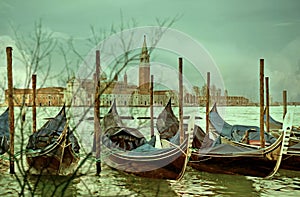 Abstract tree reflection blur with Venice as background Italy.