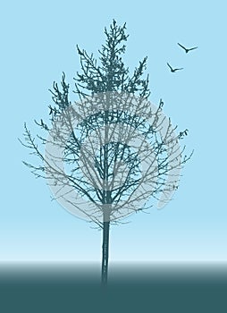 Abstract tree silhouette