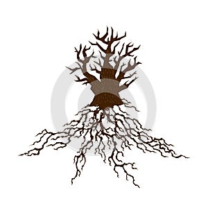 Abstract tree silhouette with root. Tree with lush root. Corporate branding identity design template