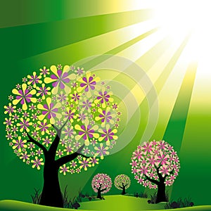 Abstract trees on green burst light background