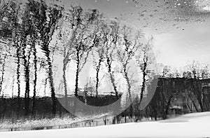 Abstract trees reflection in river. Winter time. Black and white photo.