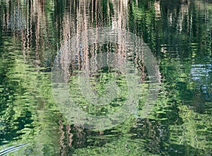 Abstract trees reflection on water