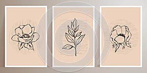 Abstract trendy Botanical wall art. Foliage line art drawing with shape. Minimal, natural wall art. Vector illustration flowers