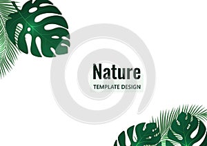 Abstract tropical style. Monstera leaves and palm trees on a white background. Vector illustration