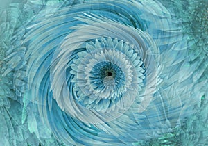 Abstract turquoise-blue bright floral background. Gerbera flowers petals close-up. Greeting card. Floral collage.