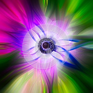 Abstract twirl effect background with flower