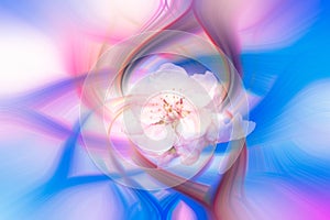 Abstract twirl effect background with flower